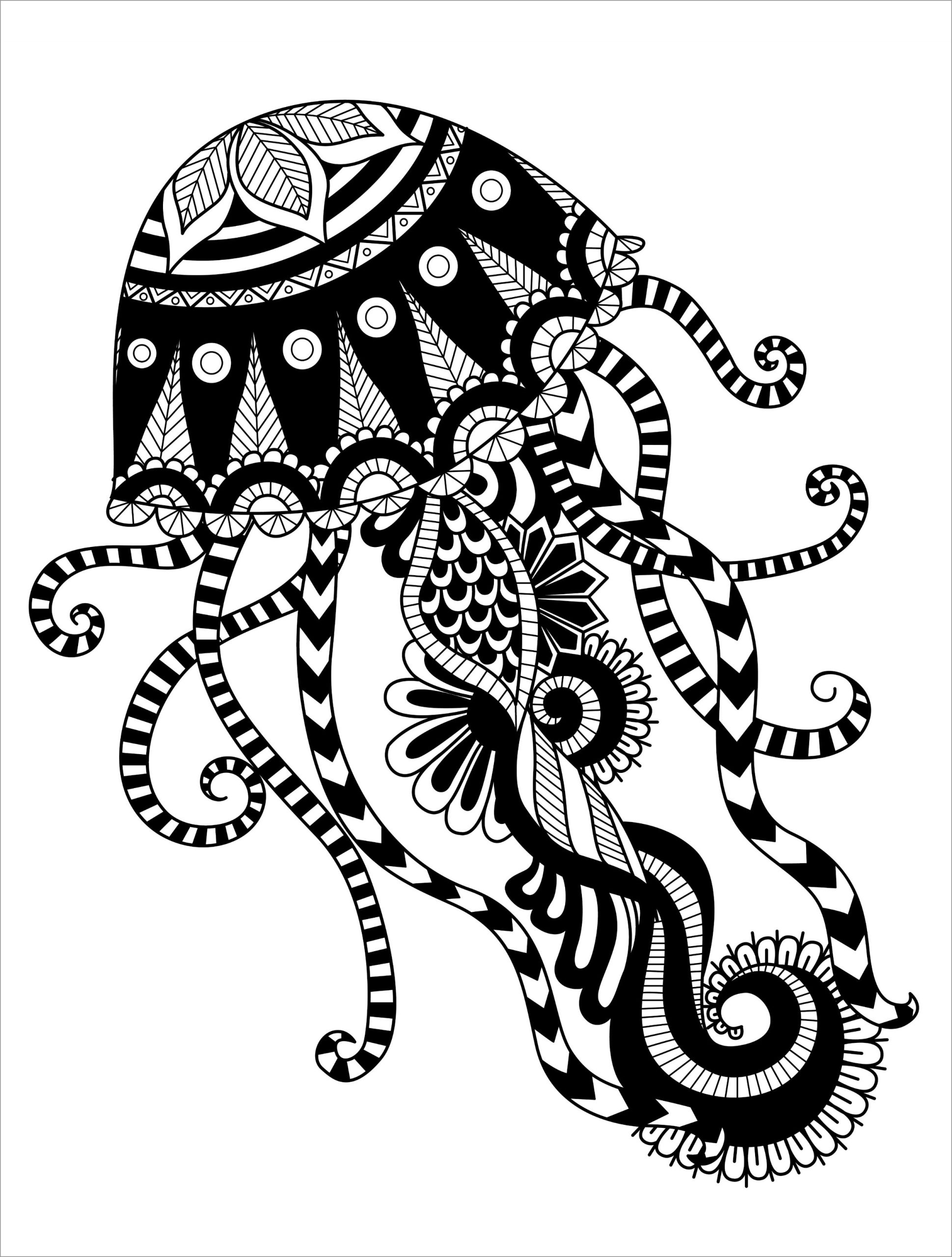 Jellyfish Coloring Page Printable ColoringBay