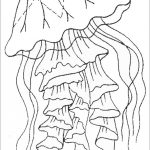 Jellyfish Coloring Page Printable ColoringBay