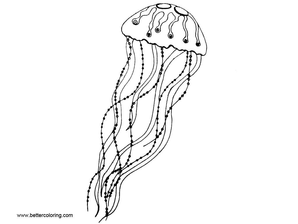 printable coloring pages jellyfish