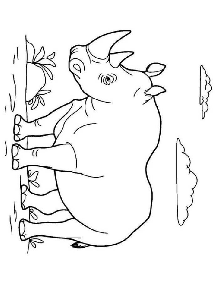 Jungle Animals Coloring Pages Free Printable PDF
