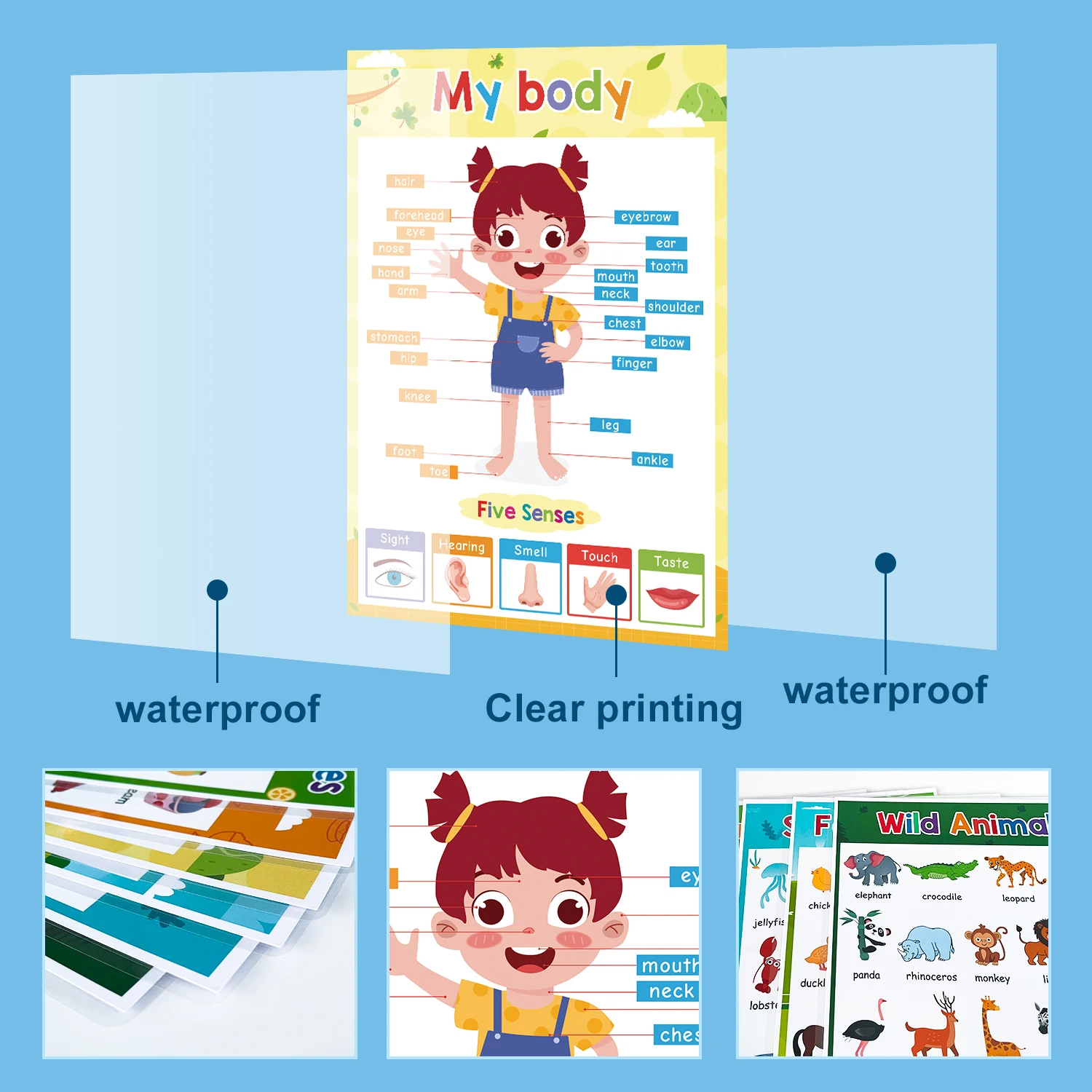 Lachilly 20 Themes Learning English A4 Poster For Kids Fruit Color 