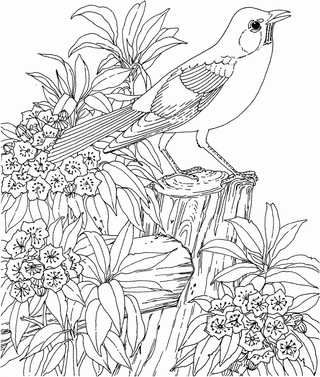 Landscape Coloring Pages Best Coloring Pages For Kids