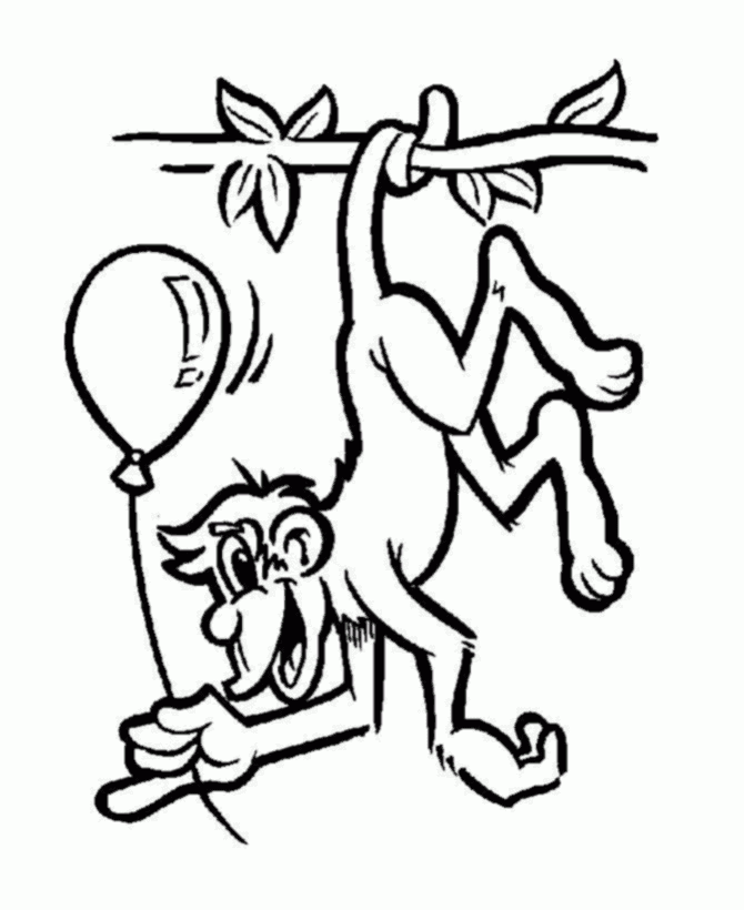Learning Years Animal Coloring Pages Monkey