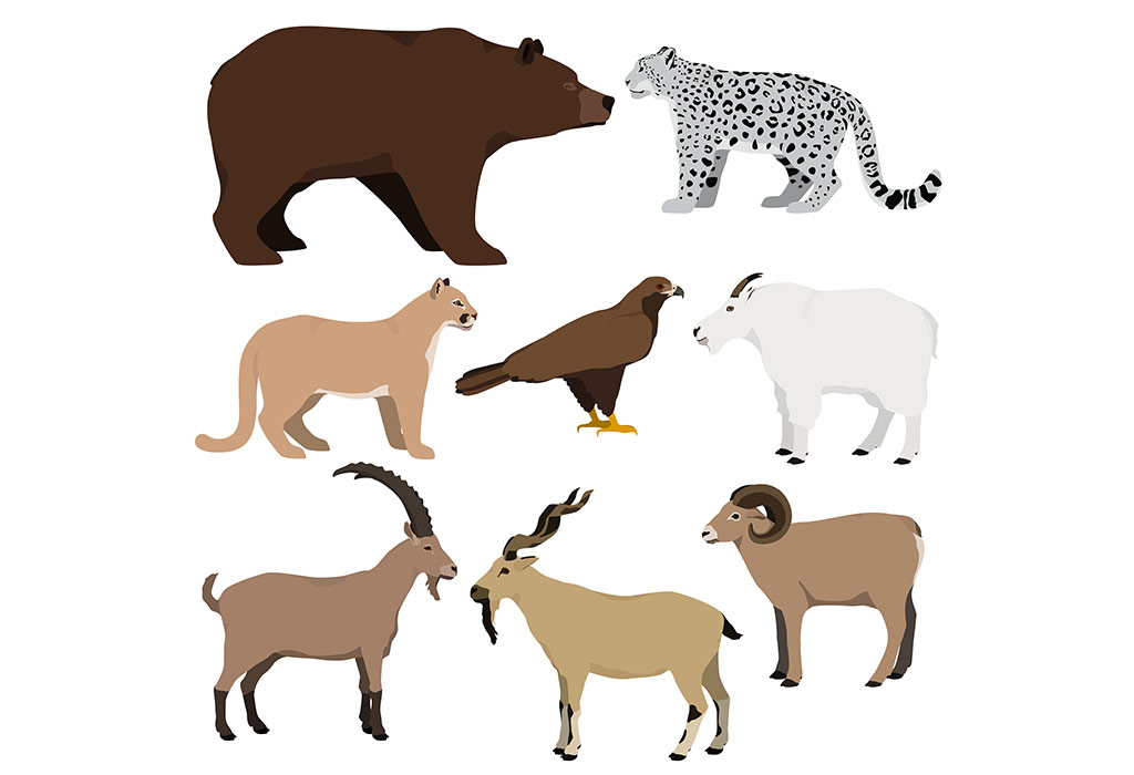 brown colored animal names brown colored animal names