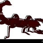 Moved Color Danger Scorpion Wild Toxic Animal Stock Vector Image Art