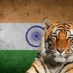 National Animal Of India Helpful Content Foreign Lingo