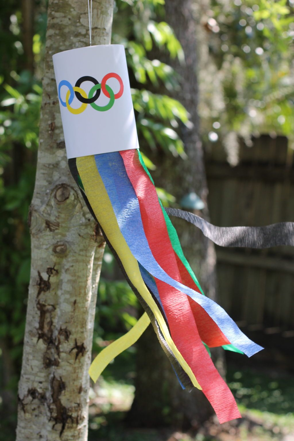 Olympic Activities And Crafts For Kids Artofit