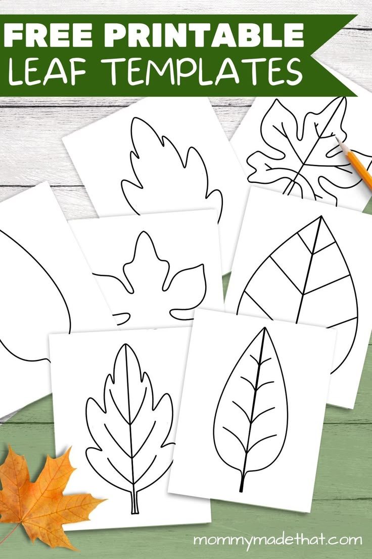 Over 16 Pages Of Printable Leaf Templates Perfect For Fall Leaf Craft