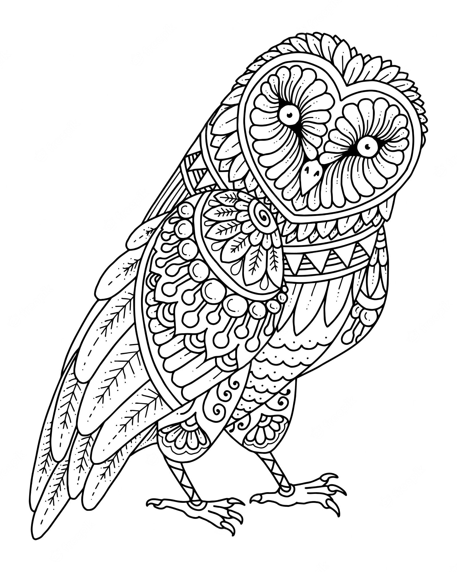 Owl Mandala Coloring Pages Coloring Home