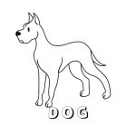 Pets Coloring Printable Worksheets For Kids Kidpid