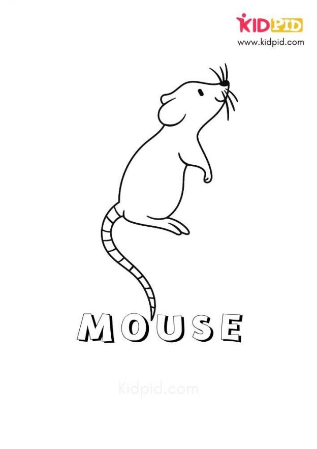 kidpid activities for kids printable