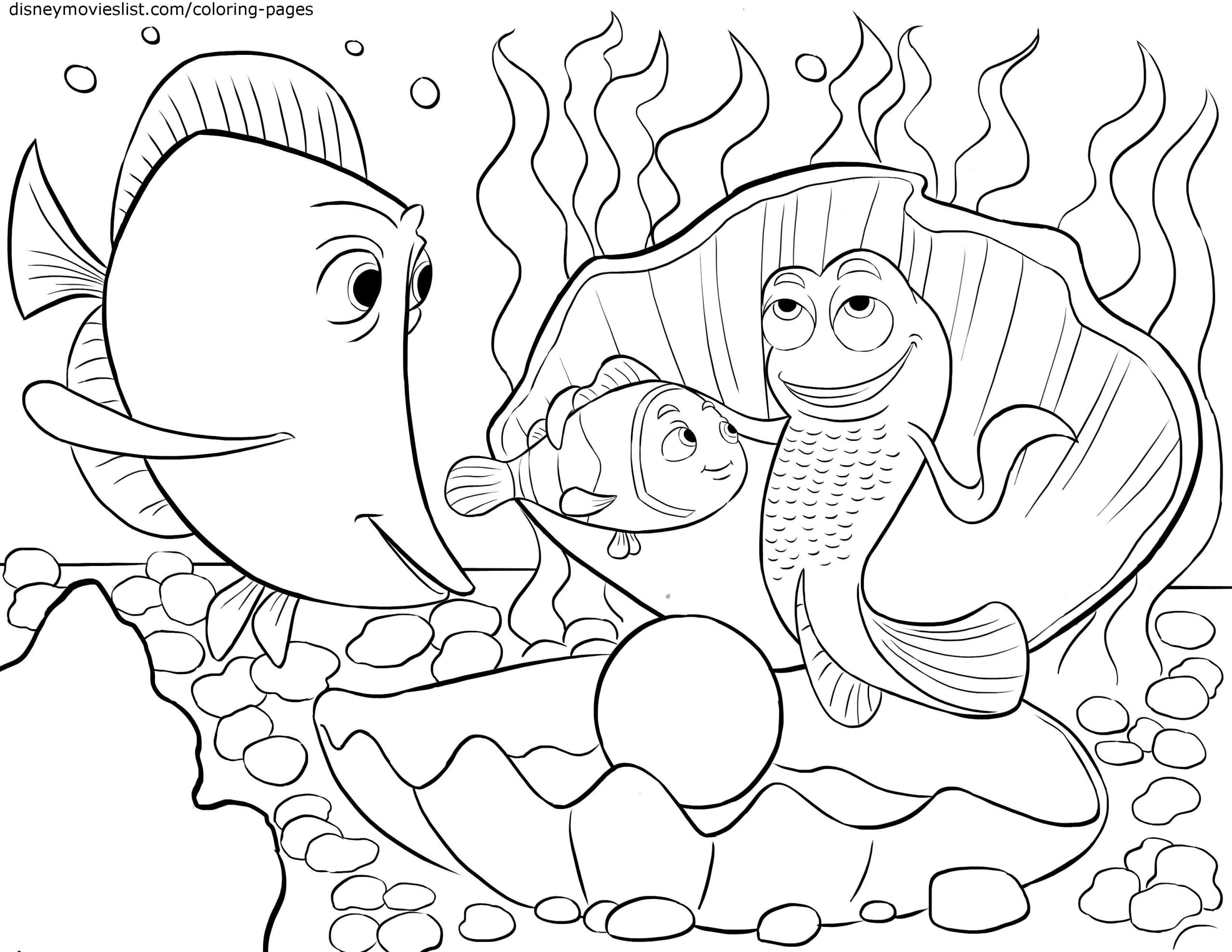 animal coloring book pdf free download