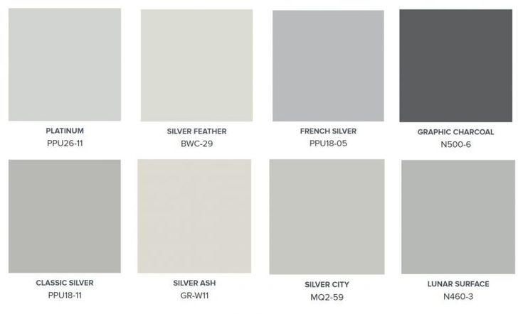 grey color animal names grey color animal names