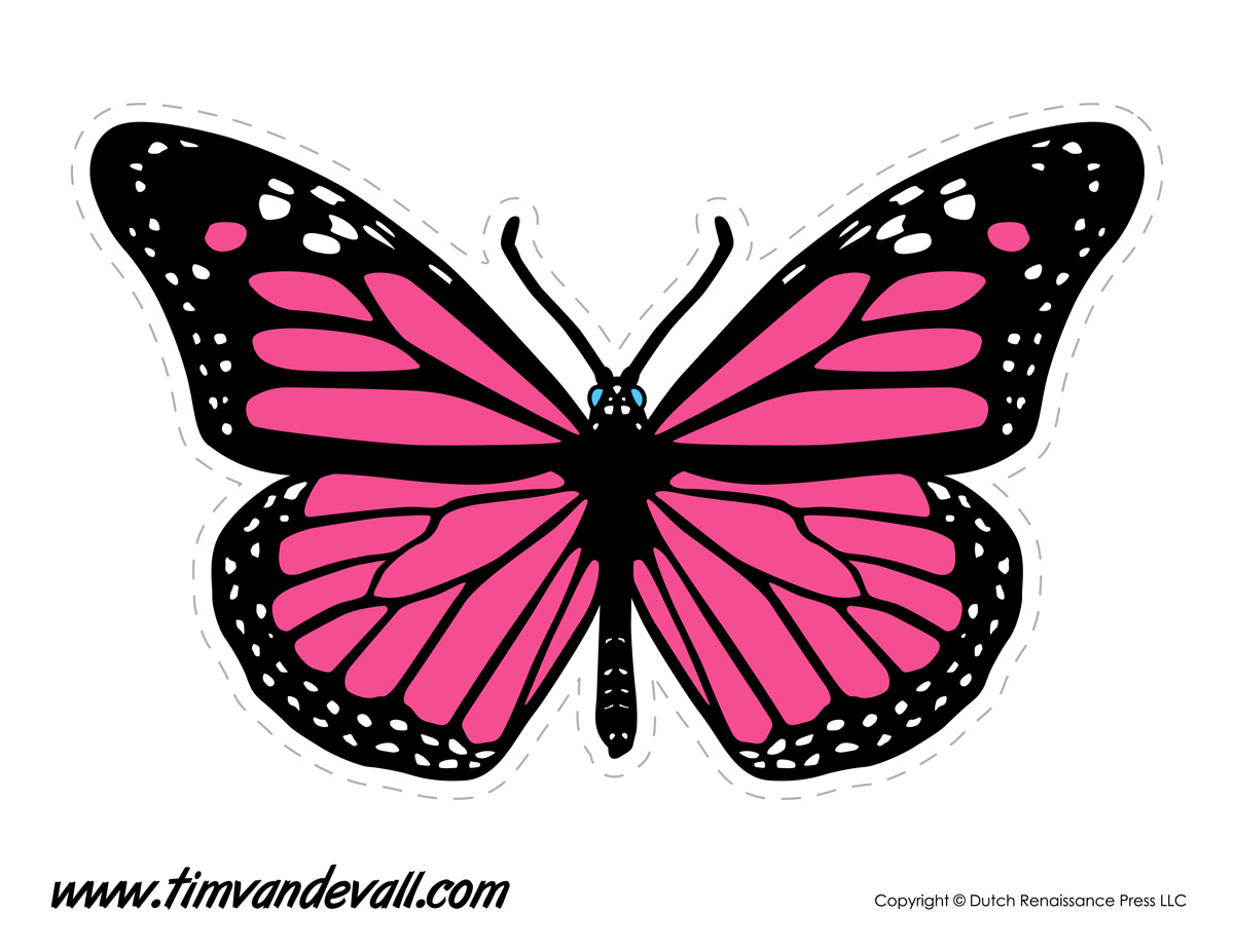 Printable Butterfly Tim Van De Vall