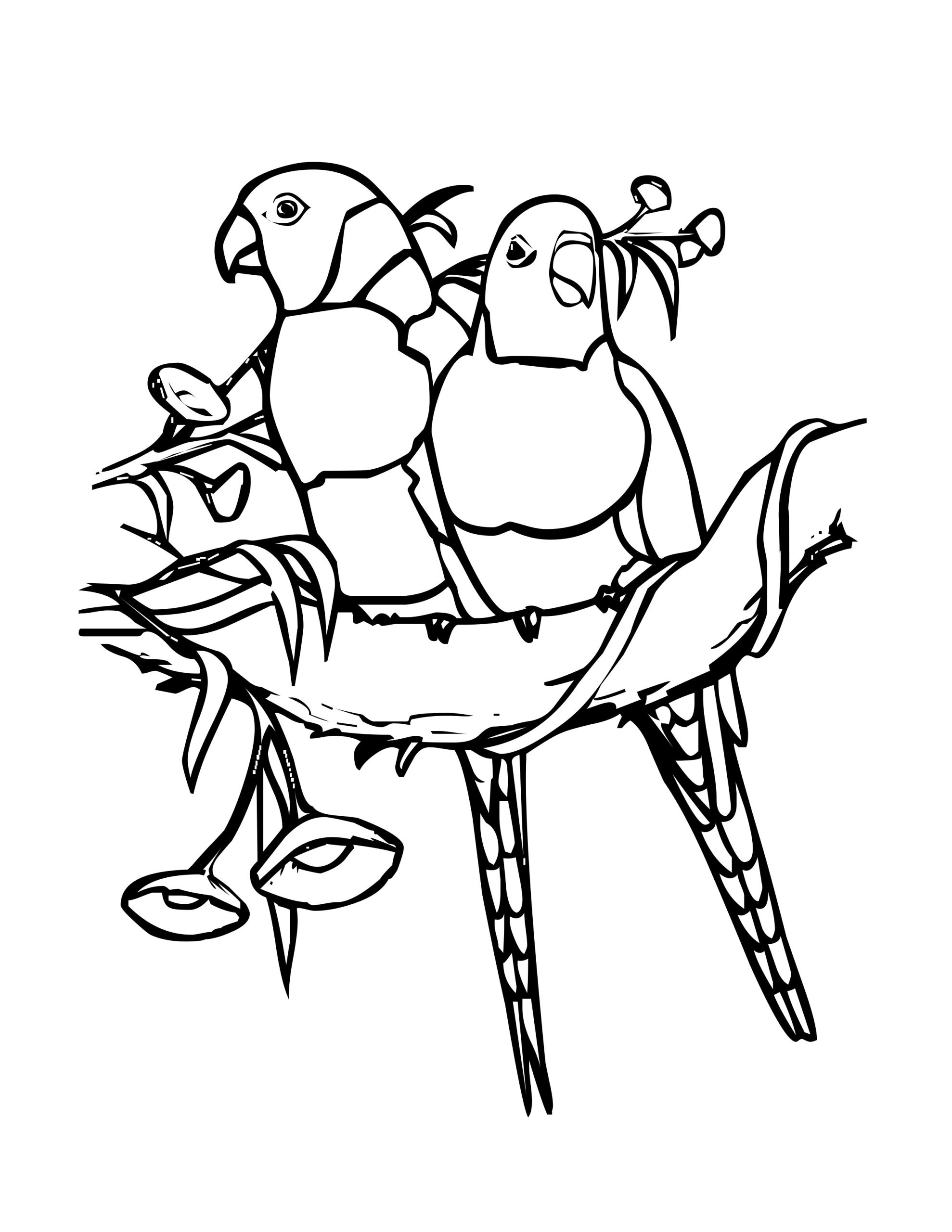 Printable Coloring Pages Birds Printable World Holiday