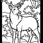 Printable Deer Coloring Pages Coloring Home