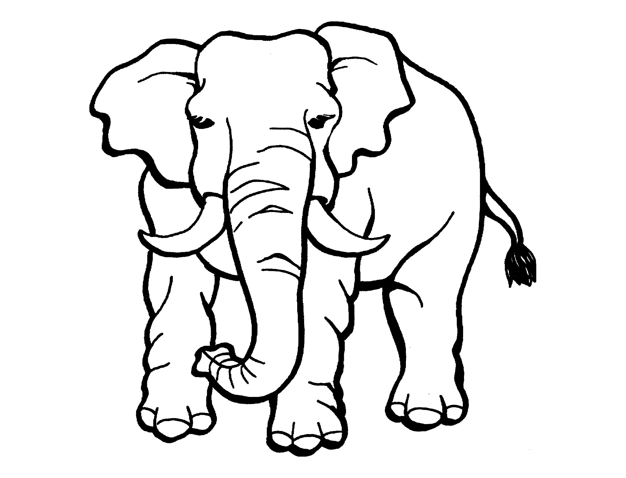 Printable Elephant Coloring Pages