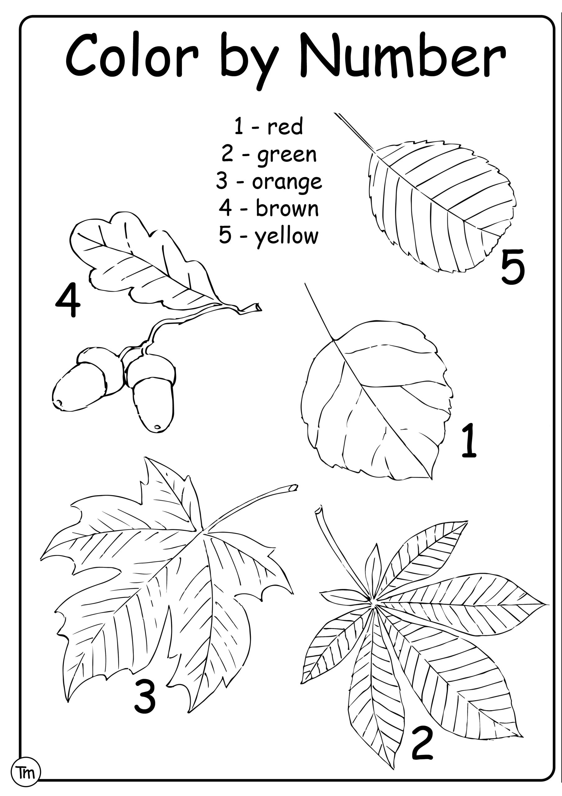 Printable Fall Craft Templates