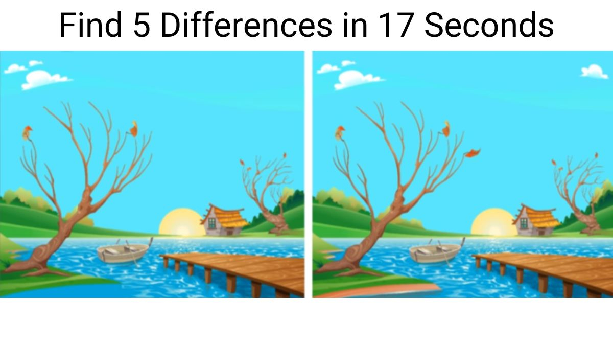 Printable Find The Difference Pictures Printable Free Templates