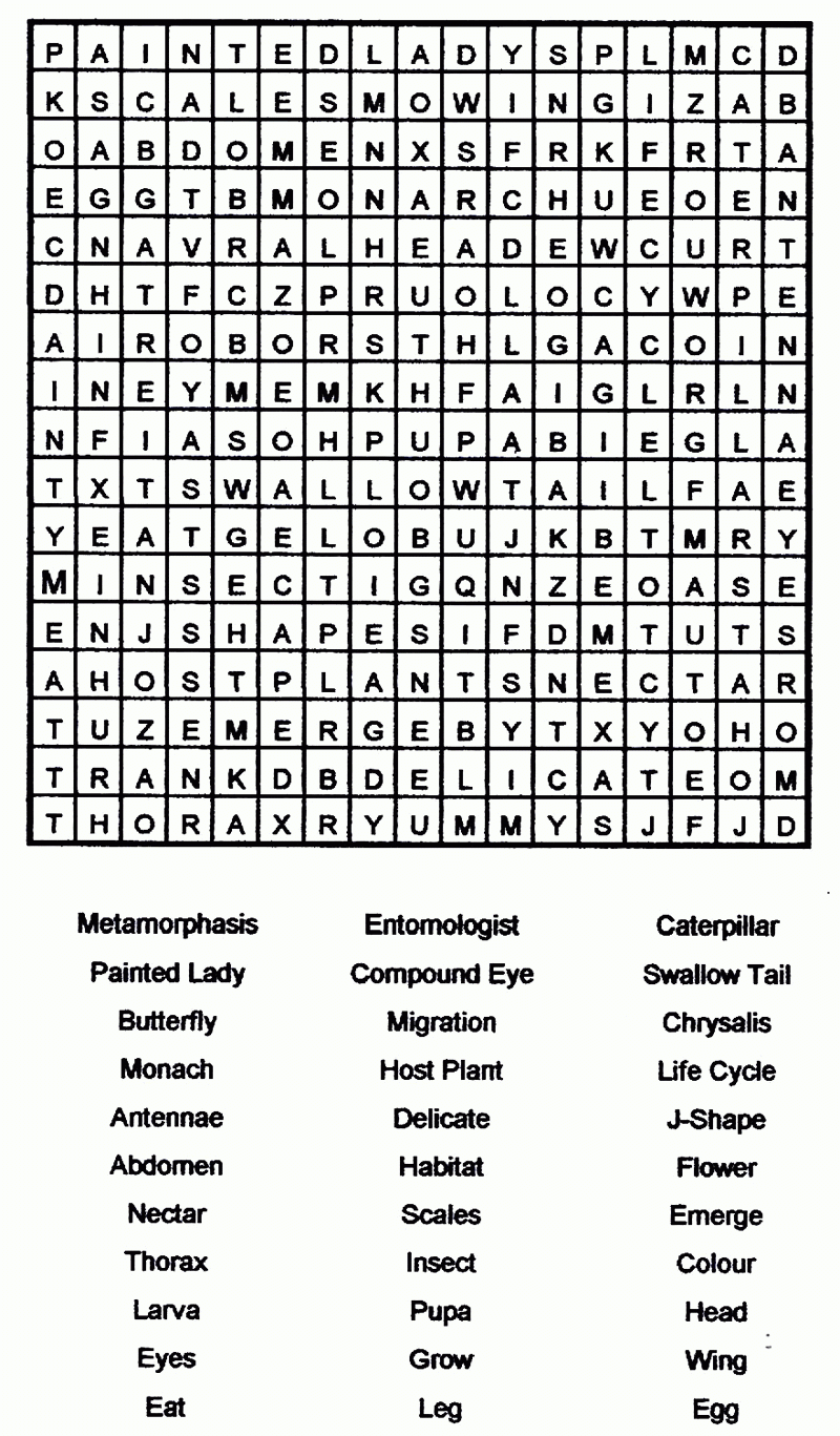 Printable Free Word Searches For Adults Word Search Maker