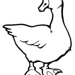 Printable Goose