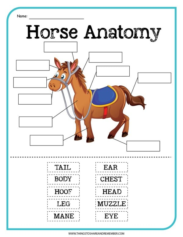 Printable Horse Activities
