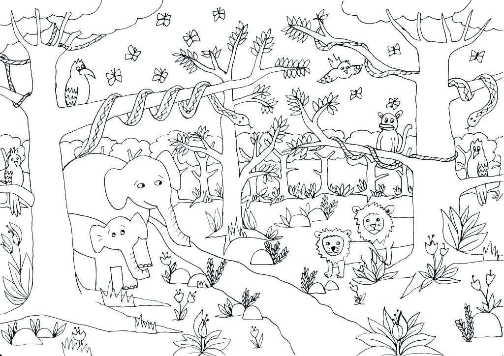 Printable Jungle Coloring Pages