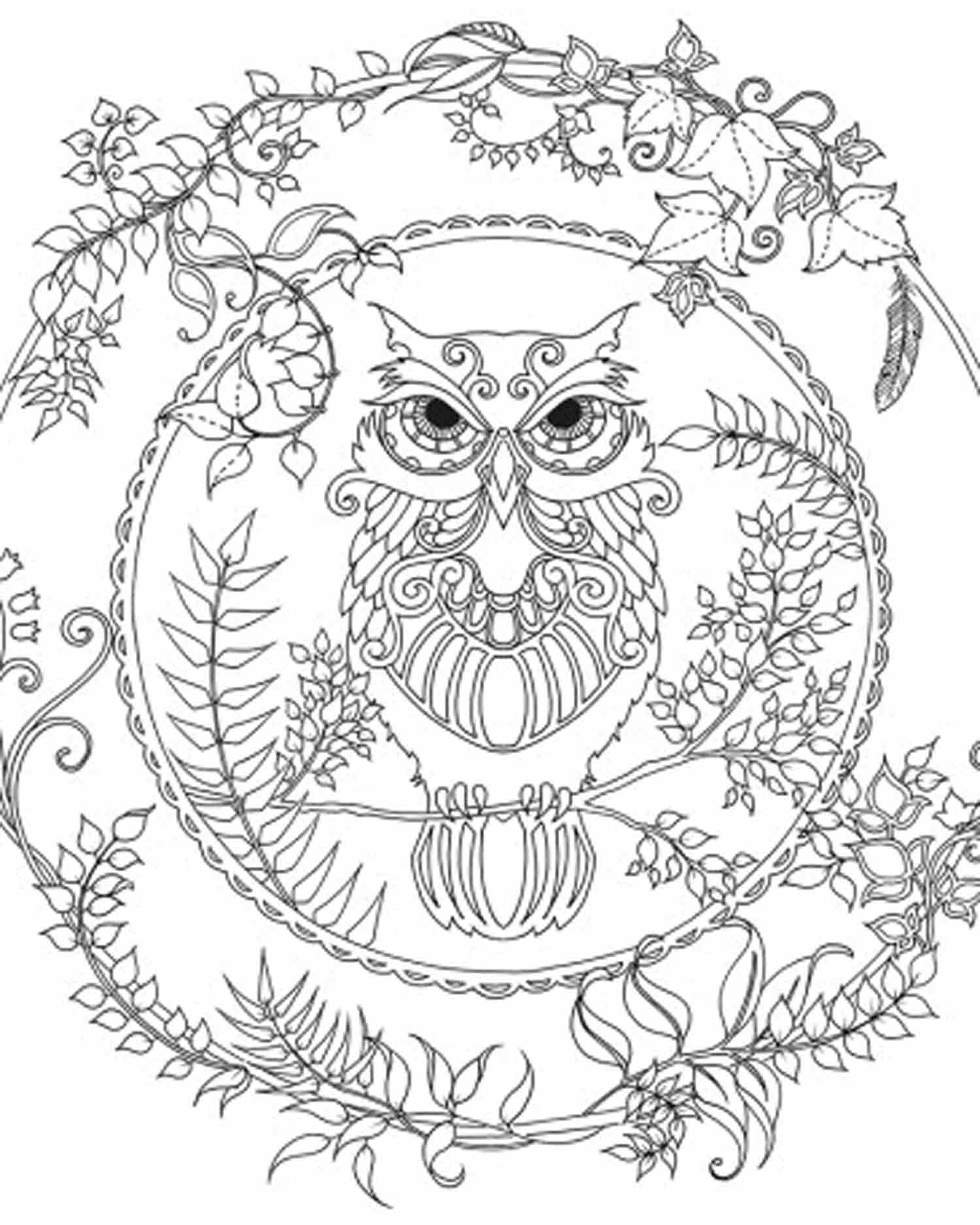 Printable Owl Coloring Pages For Adults At GetColorings Free 
