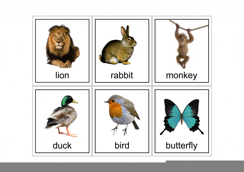 Printable Snap Cards Printable Word Searches