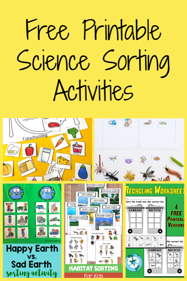 Printable Sorting Activity Images