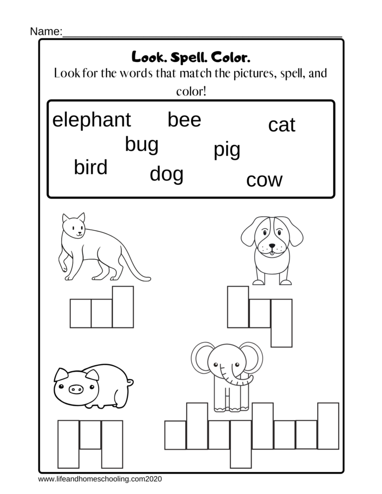 Printable Spelling Worksheets Printable Worksheets