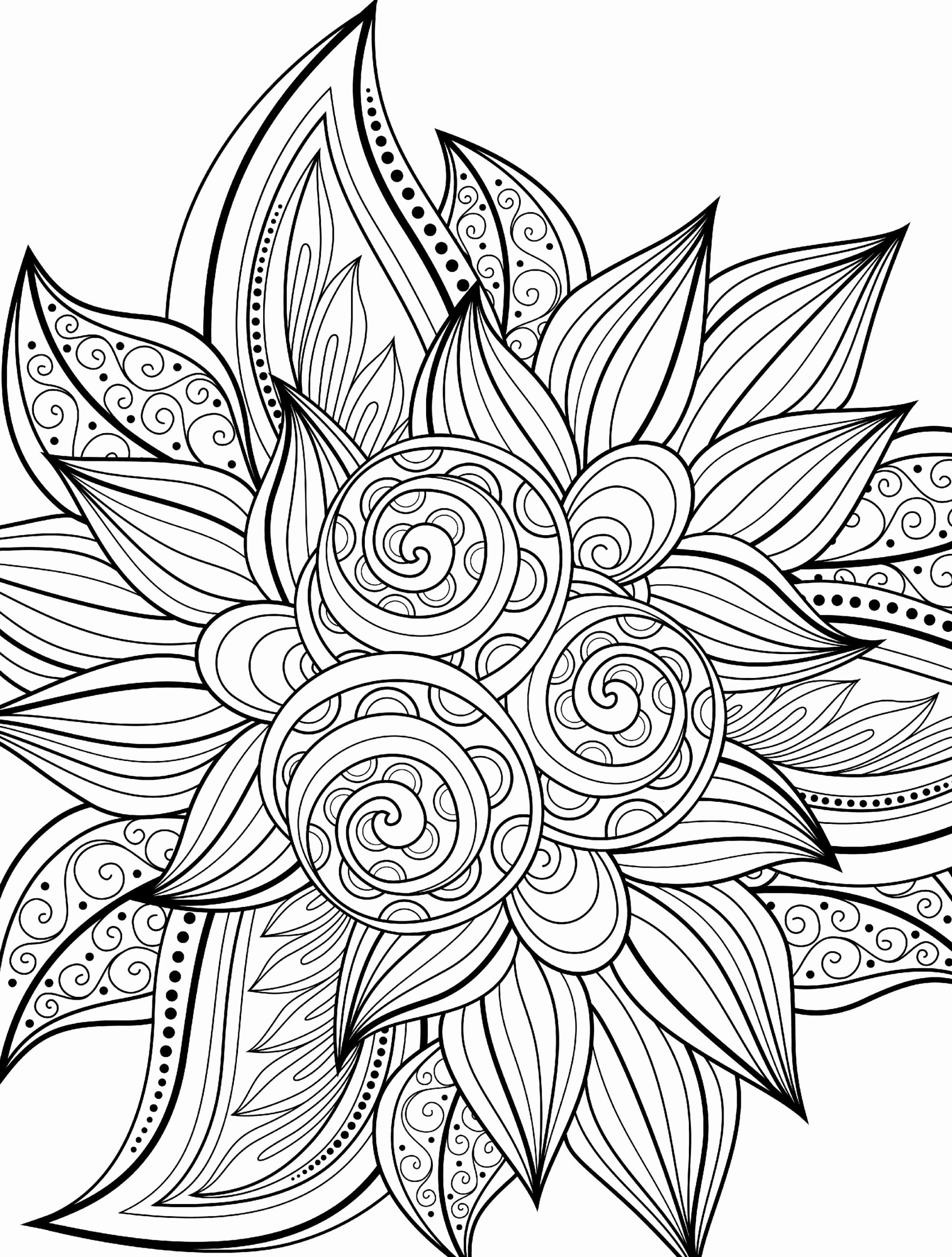 printable coloring pages adult printable coloring pages adult