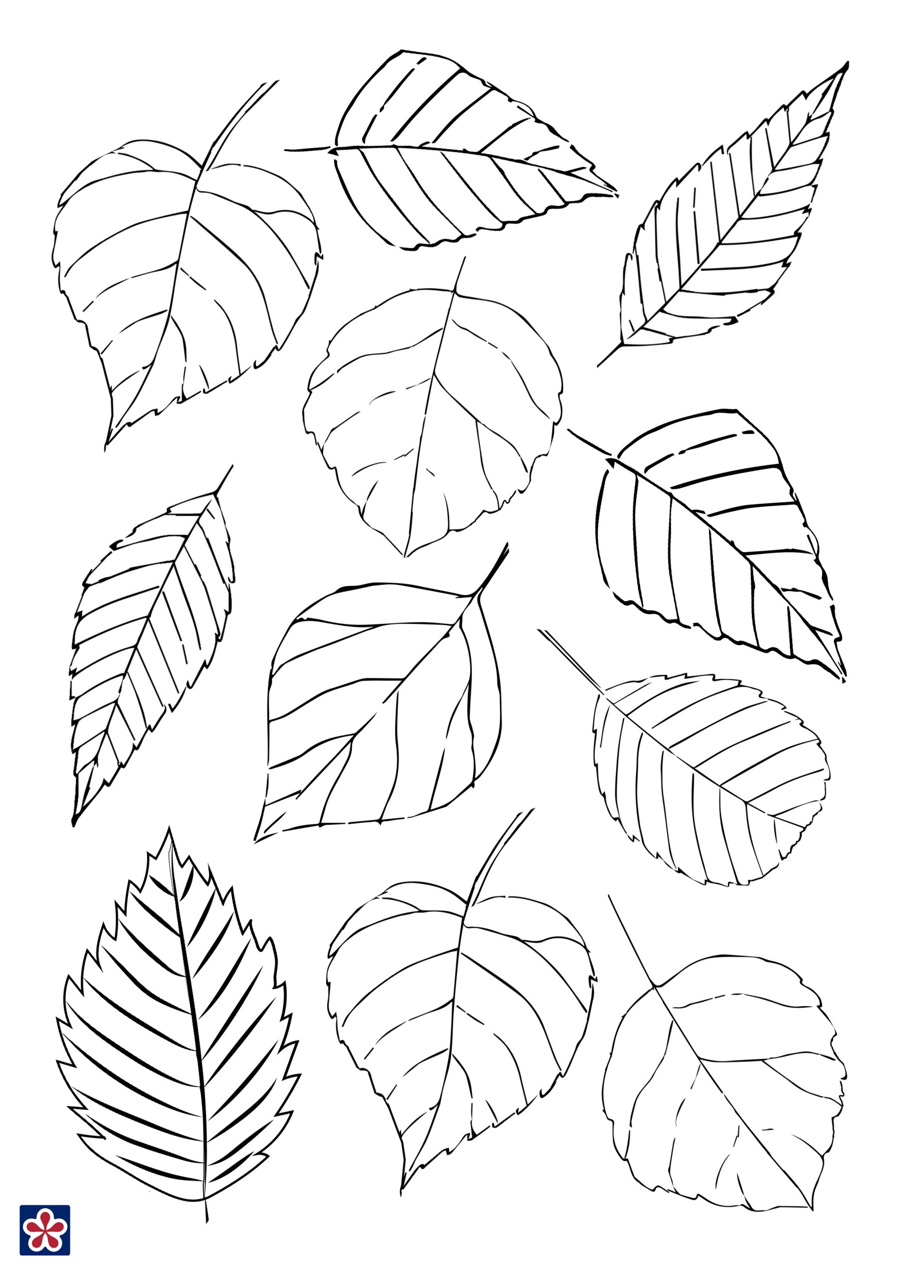 printable leaf craft