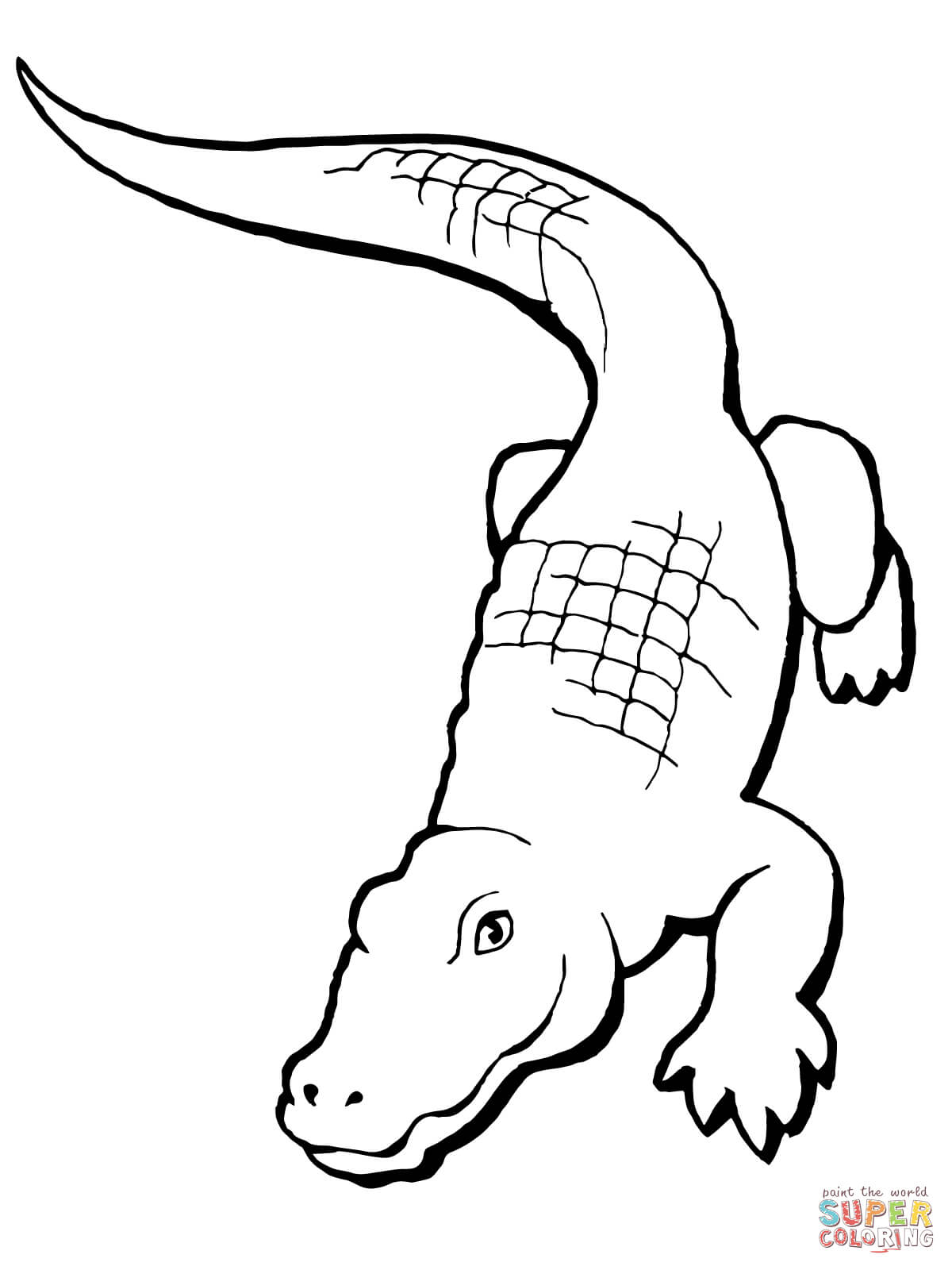 Realistic Alligator Coloring Page Free Printable Coloring Pages