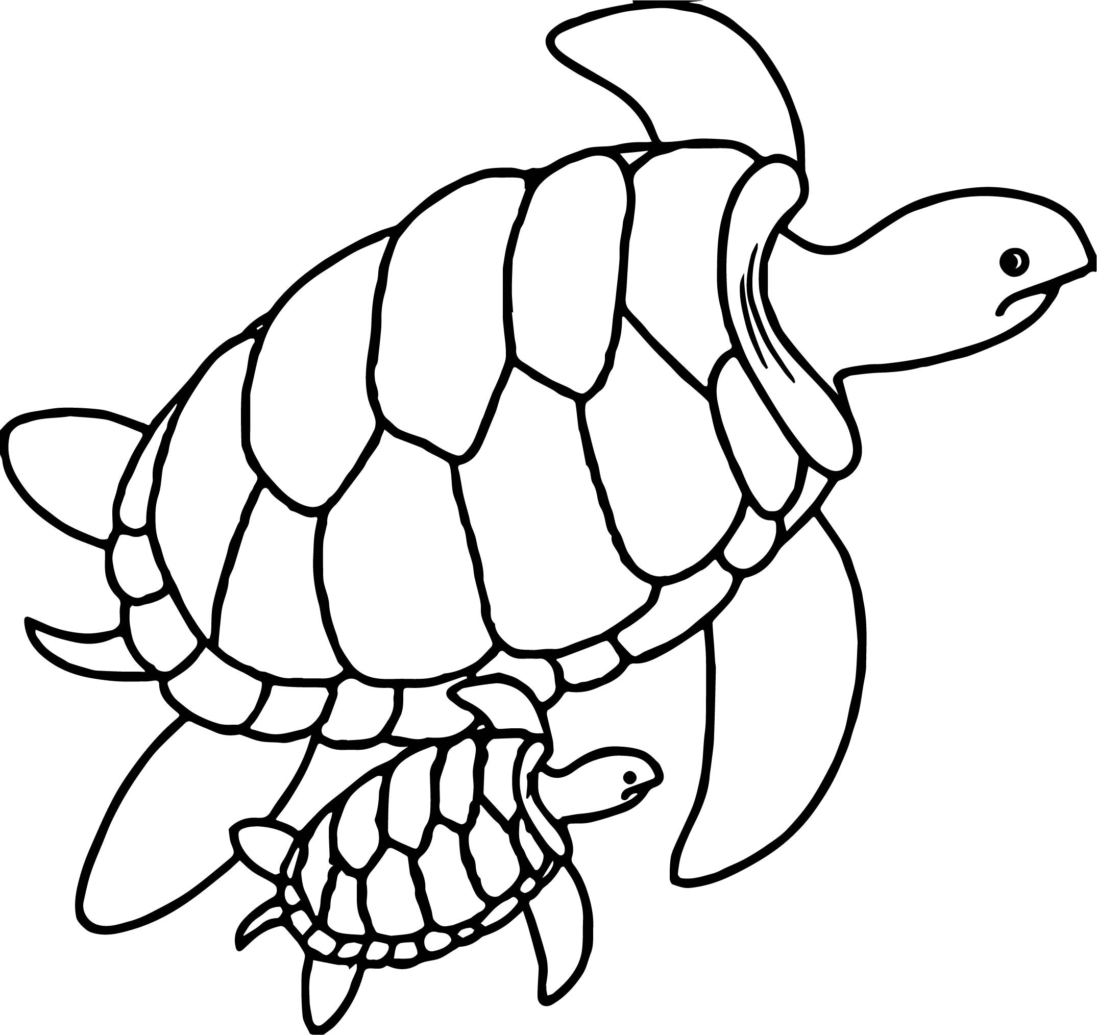 Sea Turtle Printable Coloring Pages At GetColorings Free 