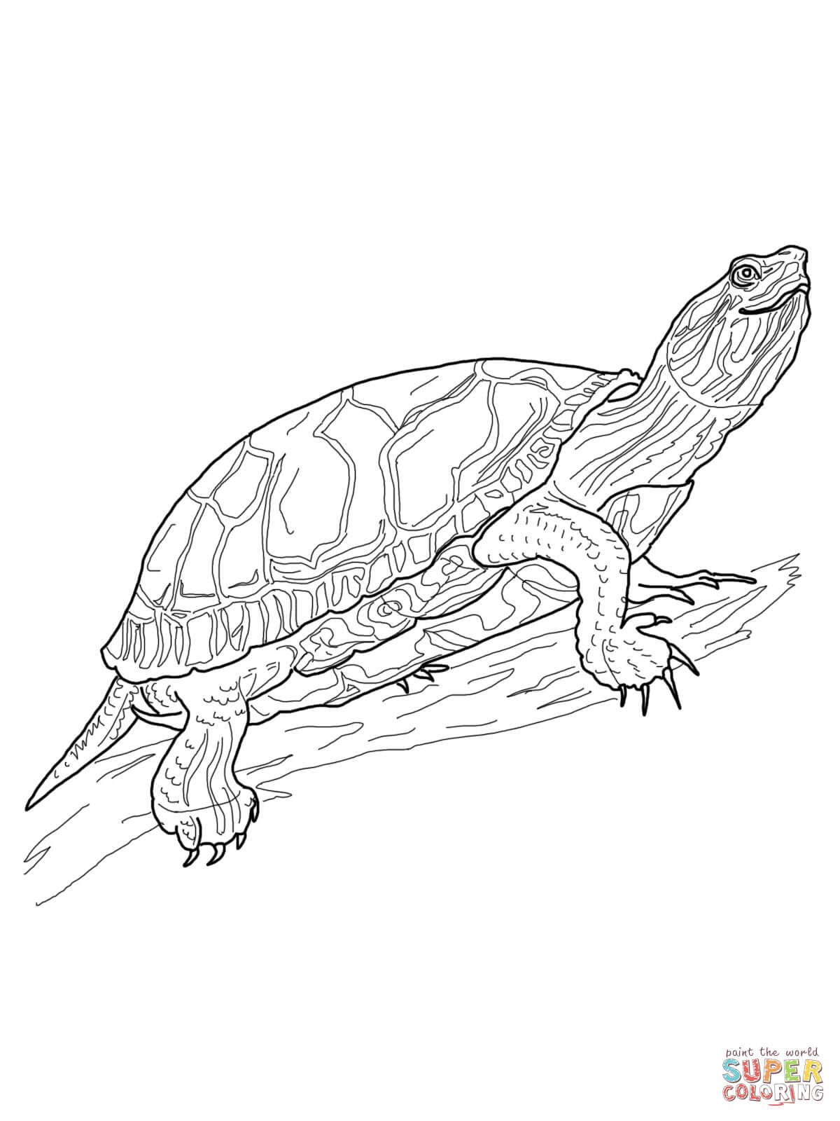 Sea Turtle Printable Coloring Pages