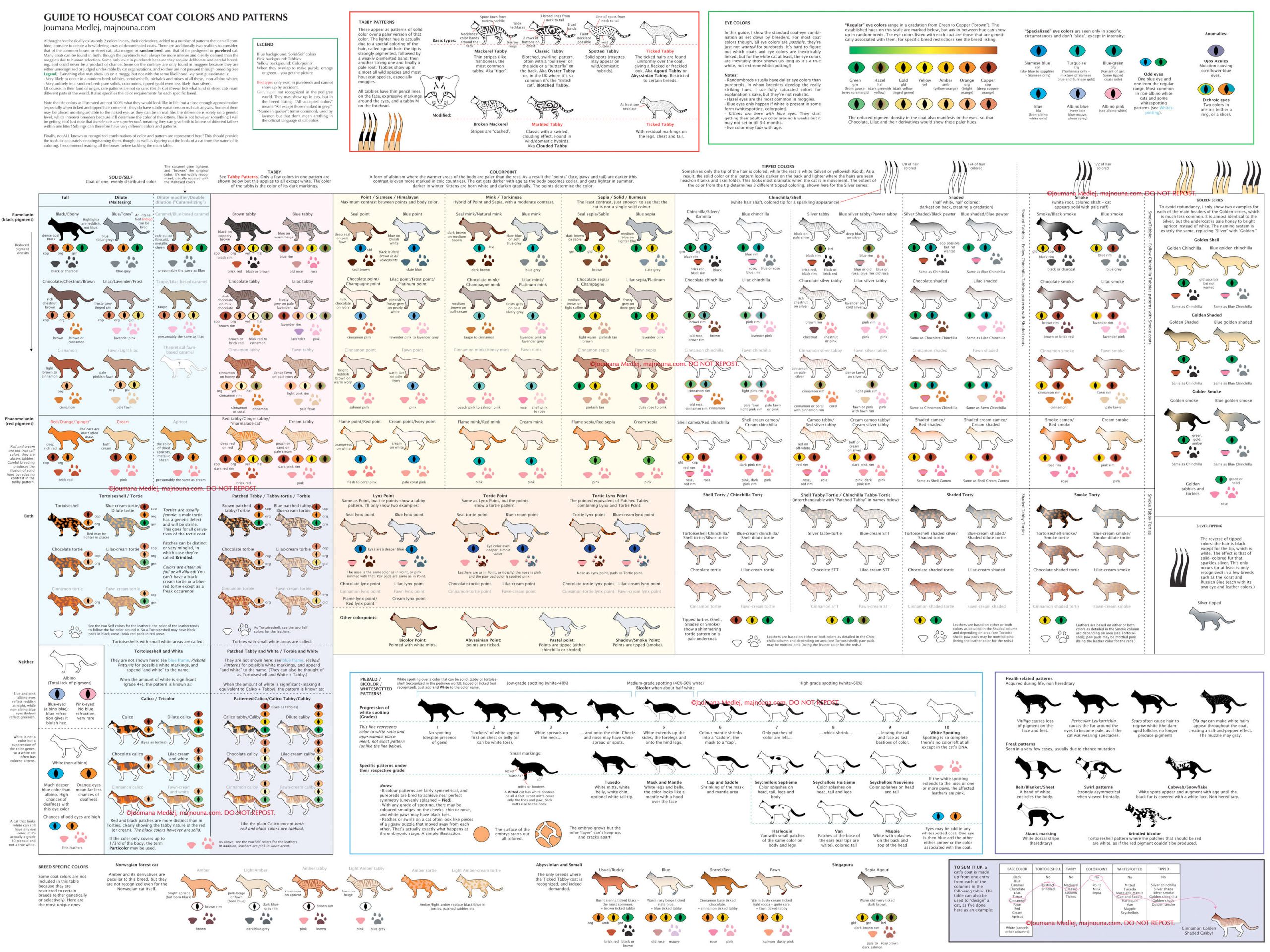 color calculator animal genetics color calculator animal genetics