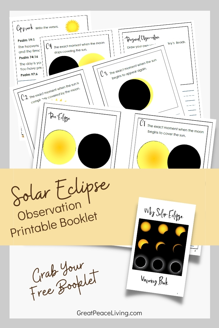 Solar Eclipse Day Activities