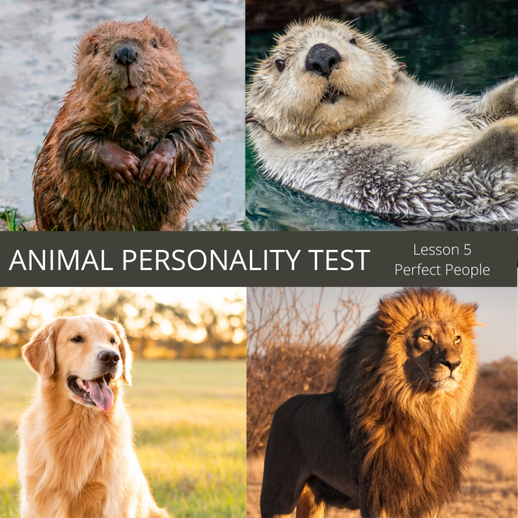 Supplies 10 Personality Profiles Abuse Recovery Ministry Services