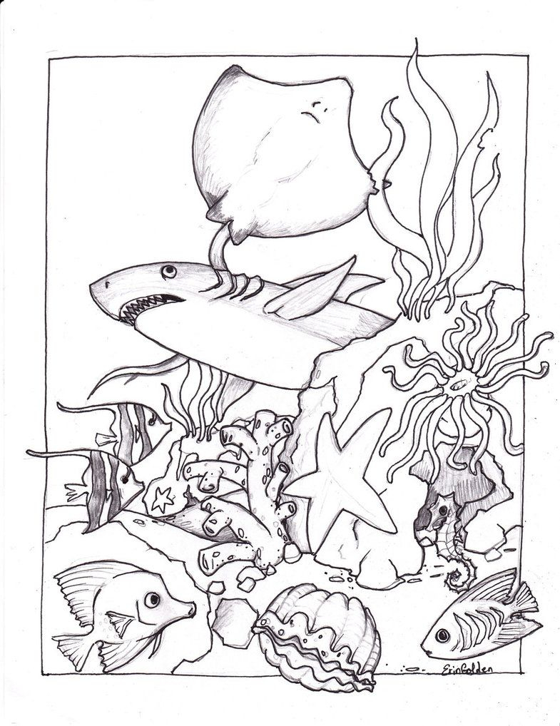 Underwater Coloring Pages Coloring Home