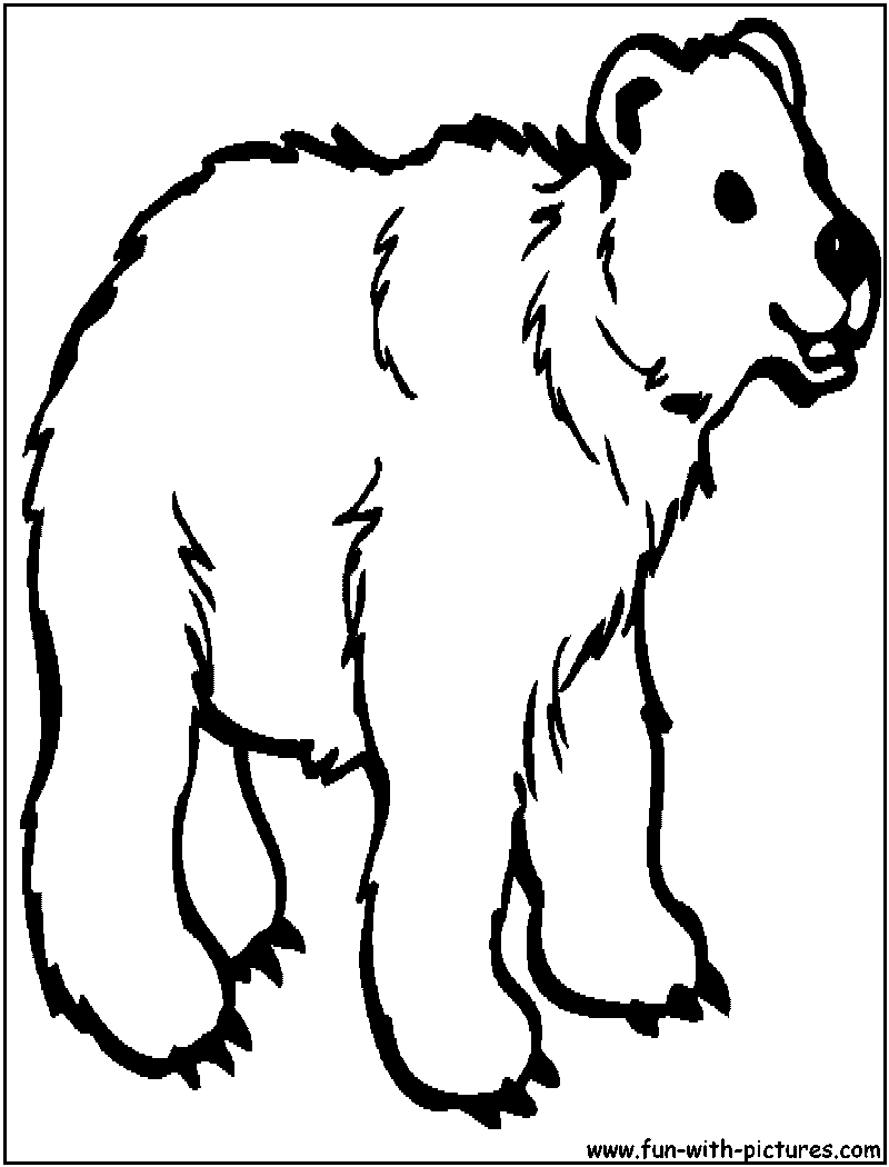Zoo Animal Coloring Pages For Toddlers