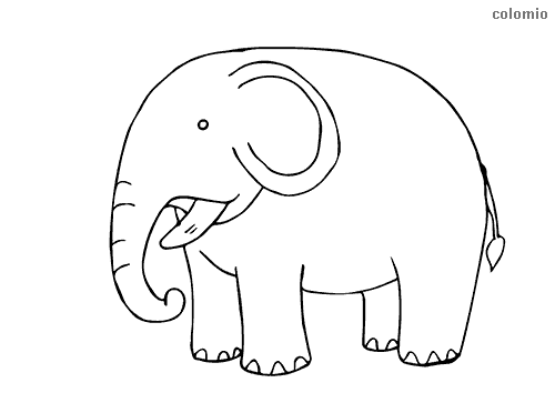 printable coloring pages zoo printable coloring pages zoo